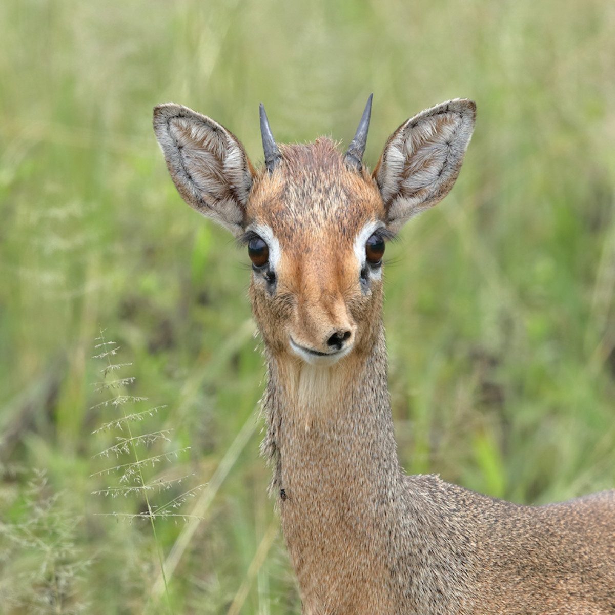 Er-xotin ozlarining jinsiy aloqa videolarini kopaytirishga qaror qilishdi.