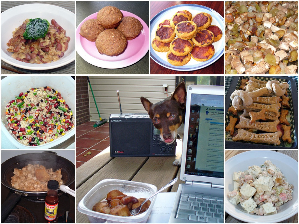 healthy dog diet homemade