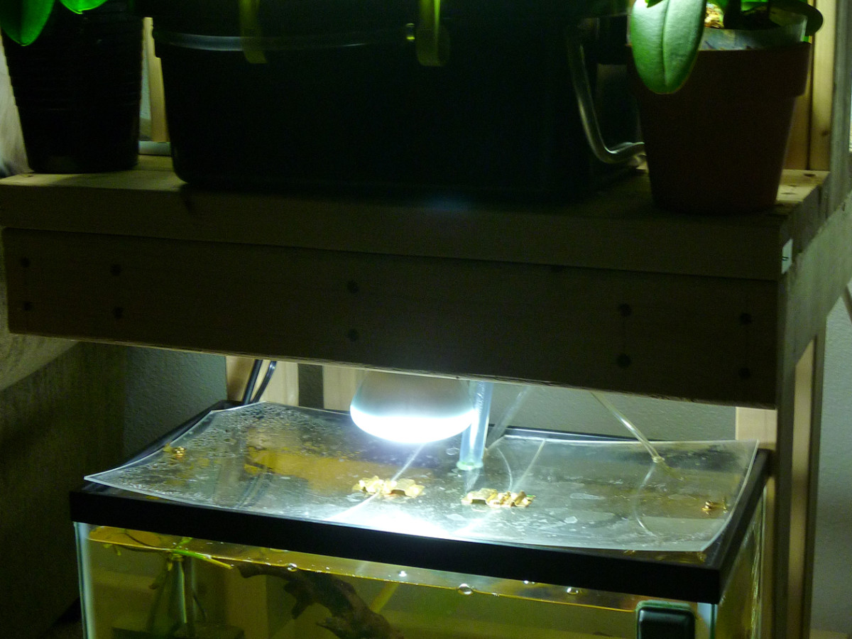 What is Aquaponics (Community Outreach)? — Jaeson Clayborn, image size:1200x900