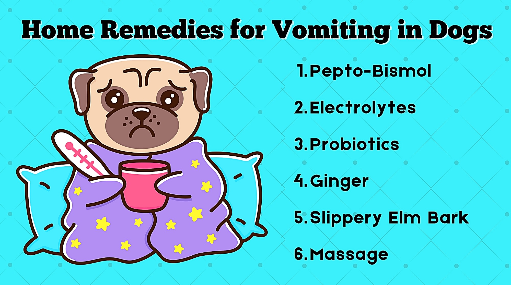 natural remedies for dog nausea