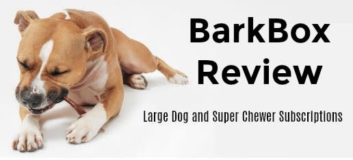 barkbox reviews large dog