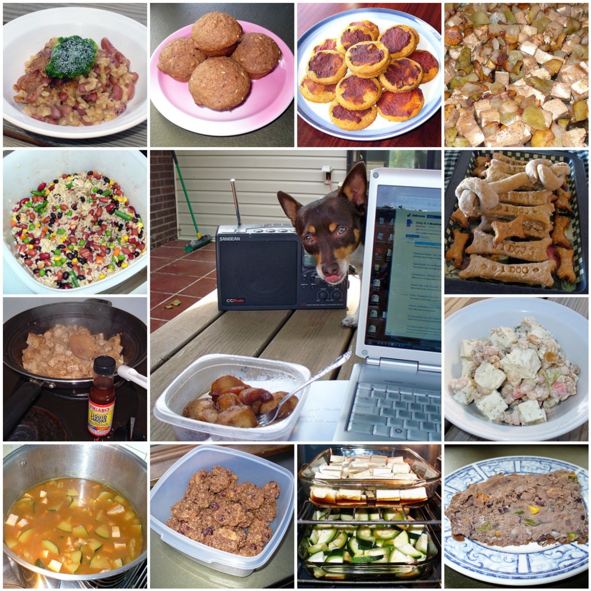 Two Great Healthy Homemade Dog Food Recipes PetHelpful