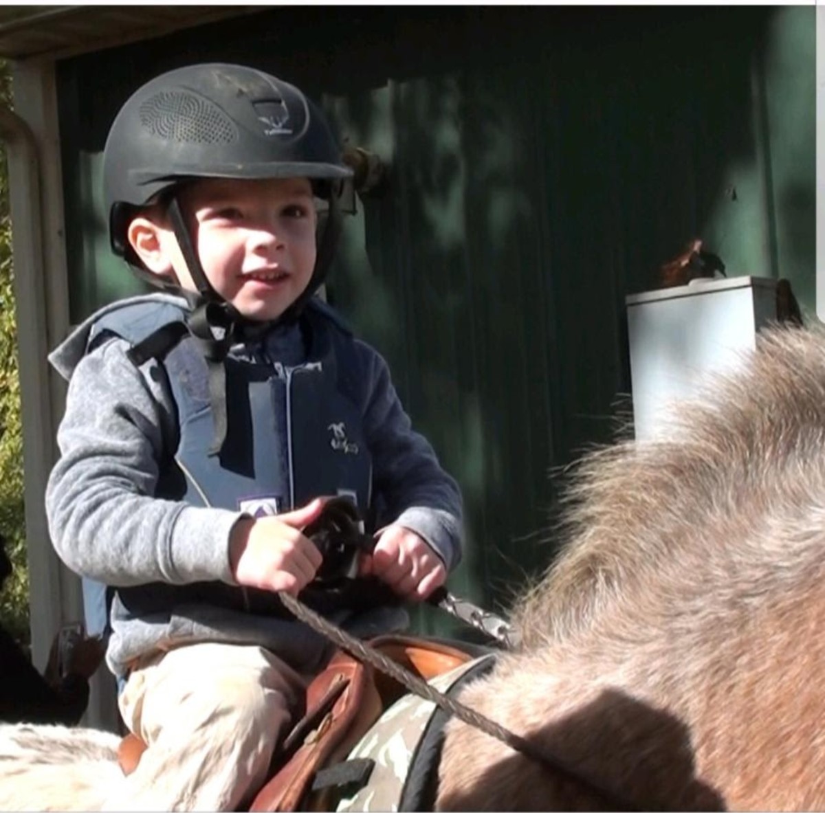 A Beginner s Guide to Riding Helmets PetHelpful
