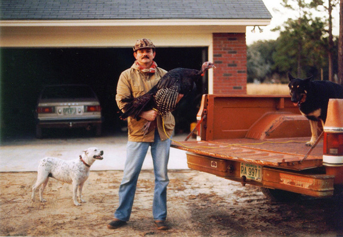 50+ Redneck and Bodacious Country Music Dog Names PetHelpful