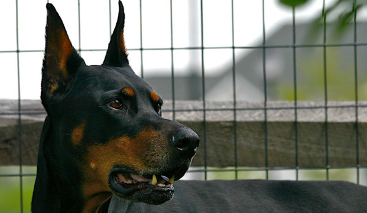 Home & Outdoor - Decorating and DIY Advice - Good Housekeeping