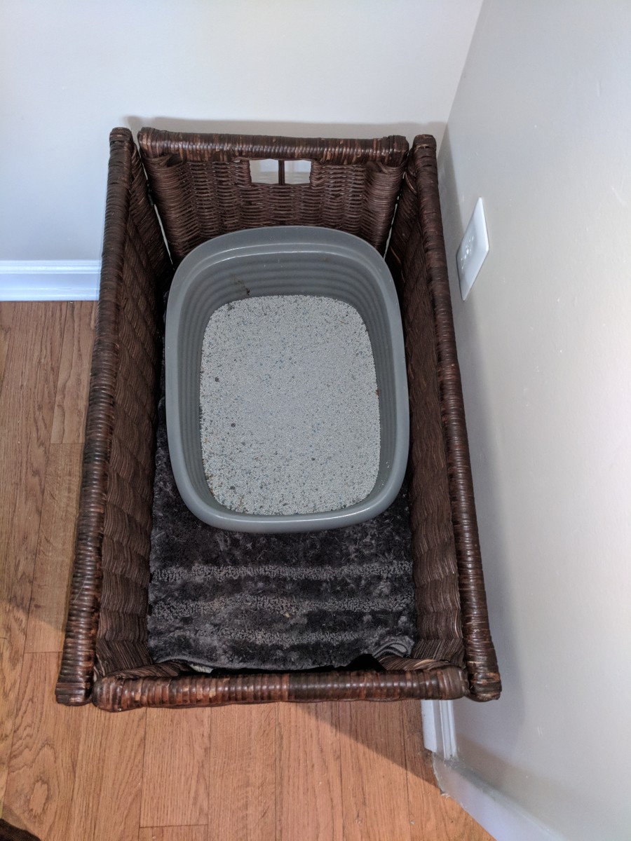 Make your own cat litter box best sale