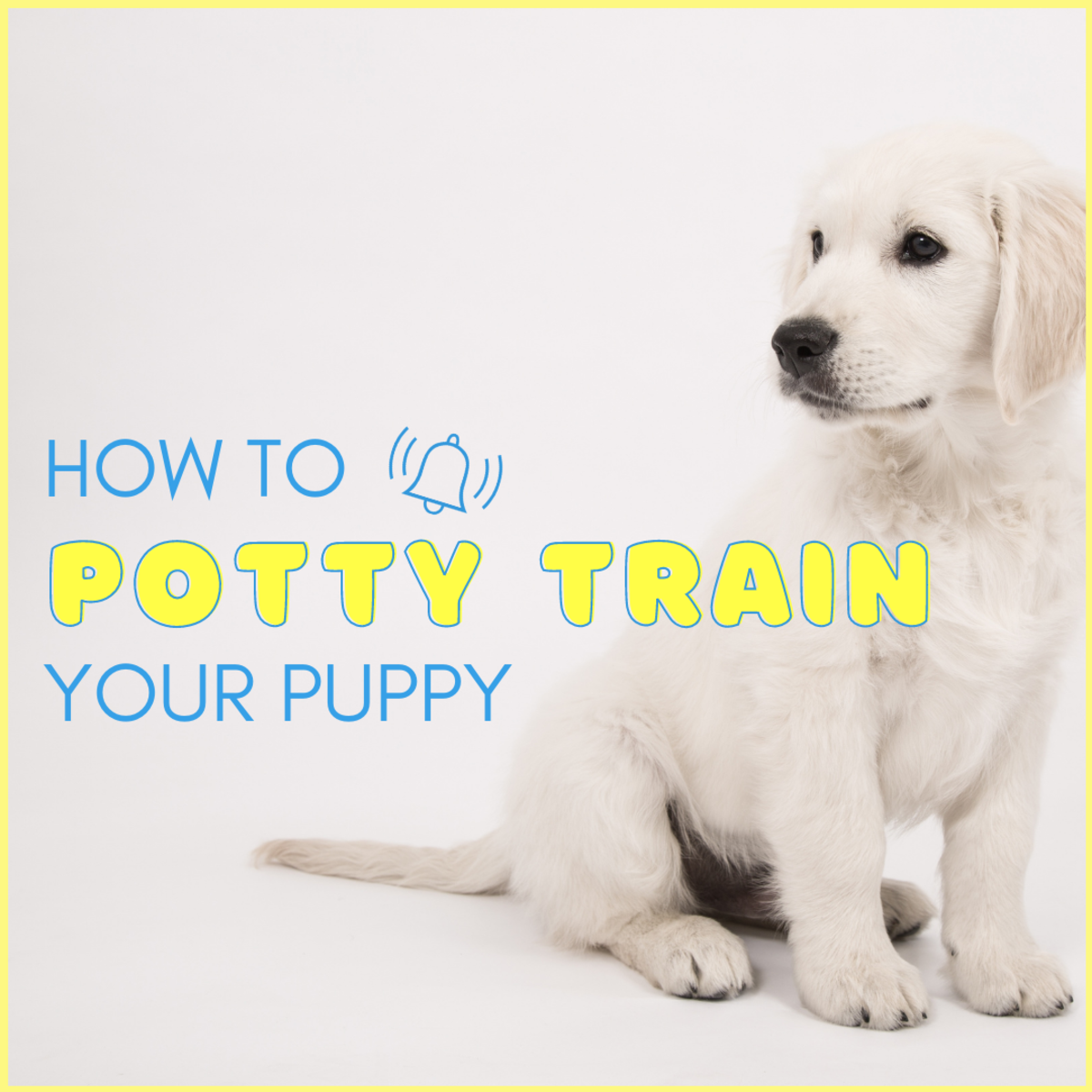 How to Train a Puppy to Potty and Poop Outside PetHelpful