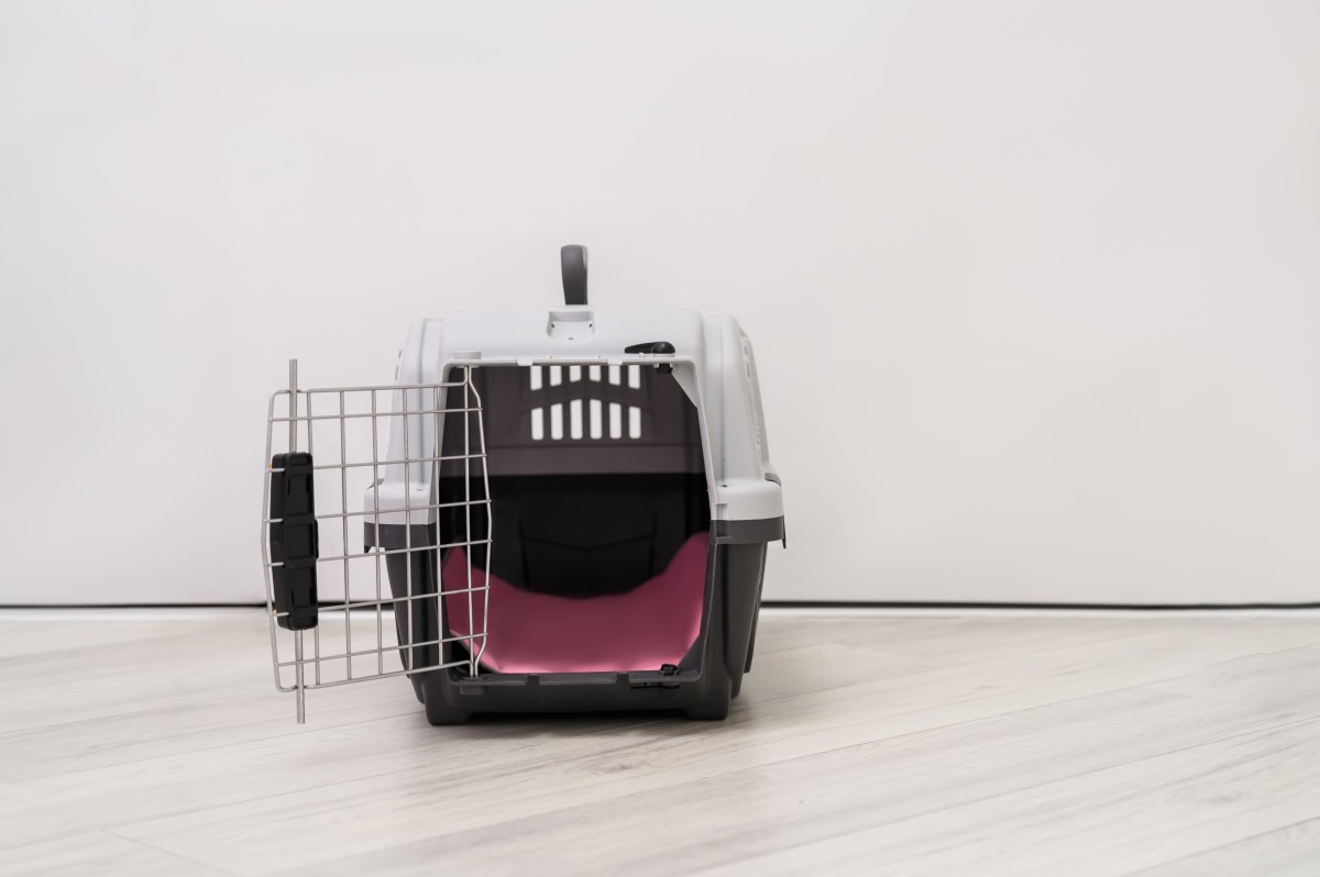 Couple Locks Themselves Inside Dog Crates and the Aftermath Is Going