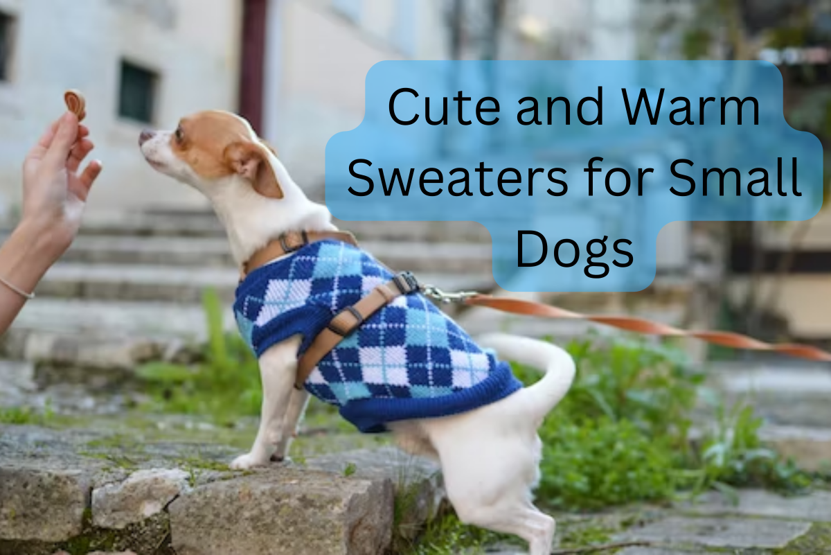 Pet sweaters for small dogs best sale