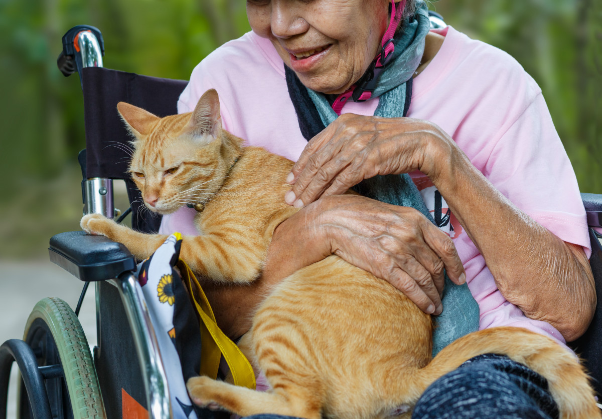 How to Honor and Celebrate Incredible Animals for National Therapy