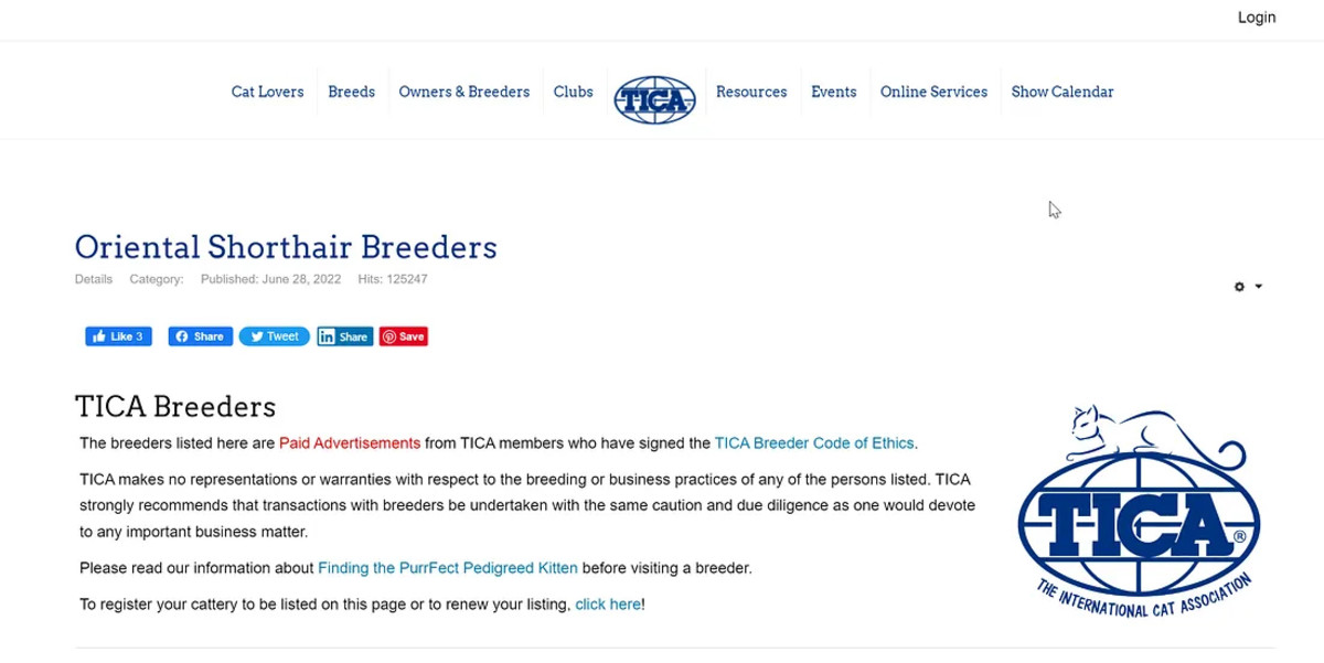 Kitten Fraud: How to Avoid Becoming a Victim of Scams - PetHelpful