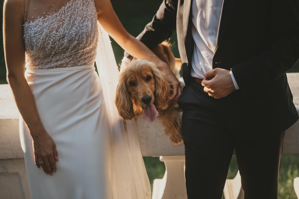 Should Your Dog Attend Your Wedding? Married Pet Parents Weigh In ...