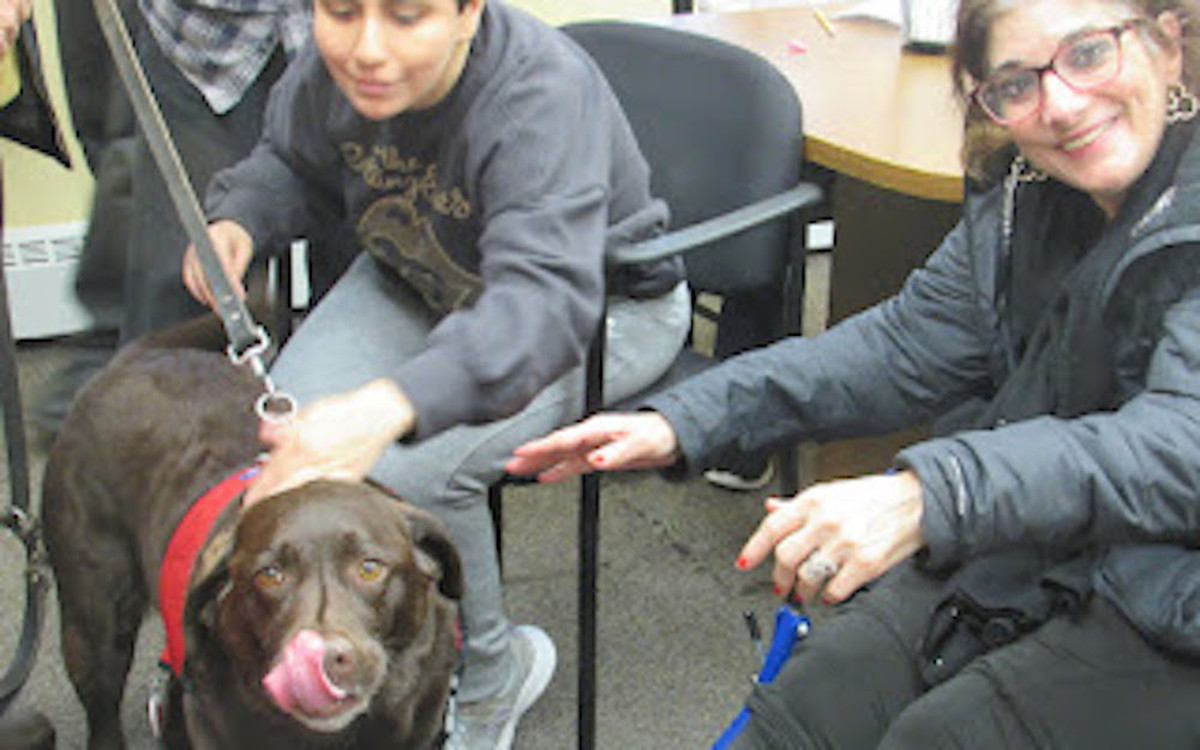 Therapy Dog Is Best Makeover Assistant for Women with Cancer PetHelpful News