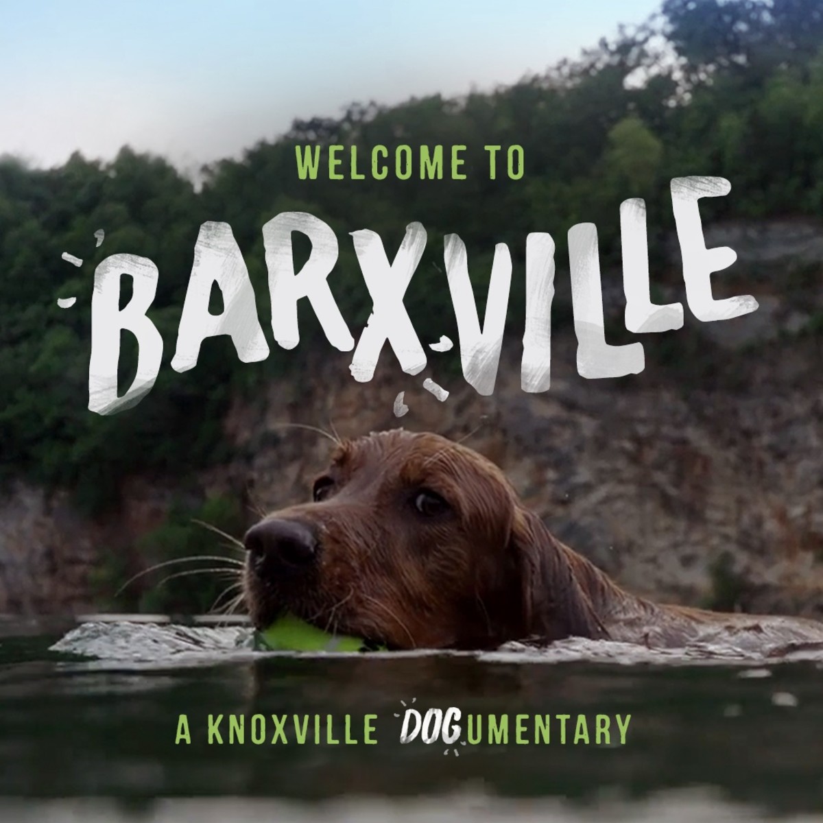 Adorable Golden Retriever Highlights Why Tennessee City Should Be on