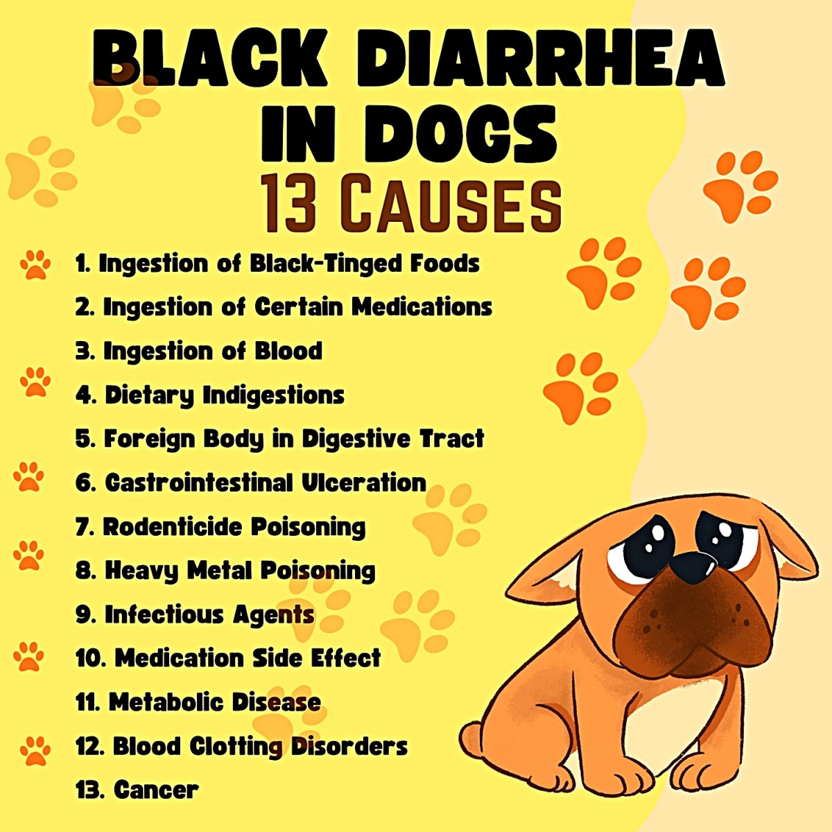 20 Causes of Black Diarrhea in Dogs   PetHelpful