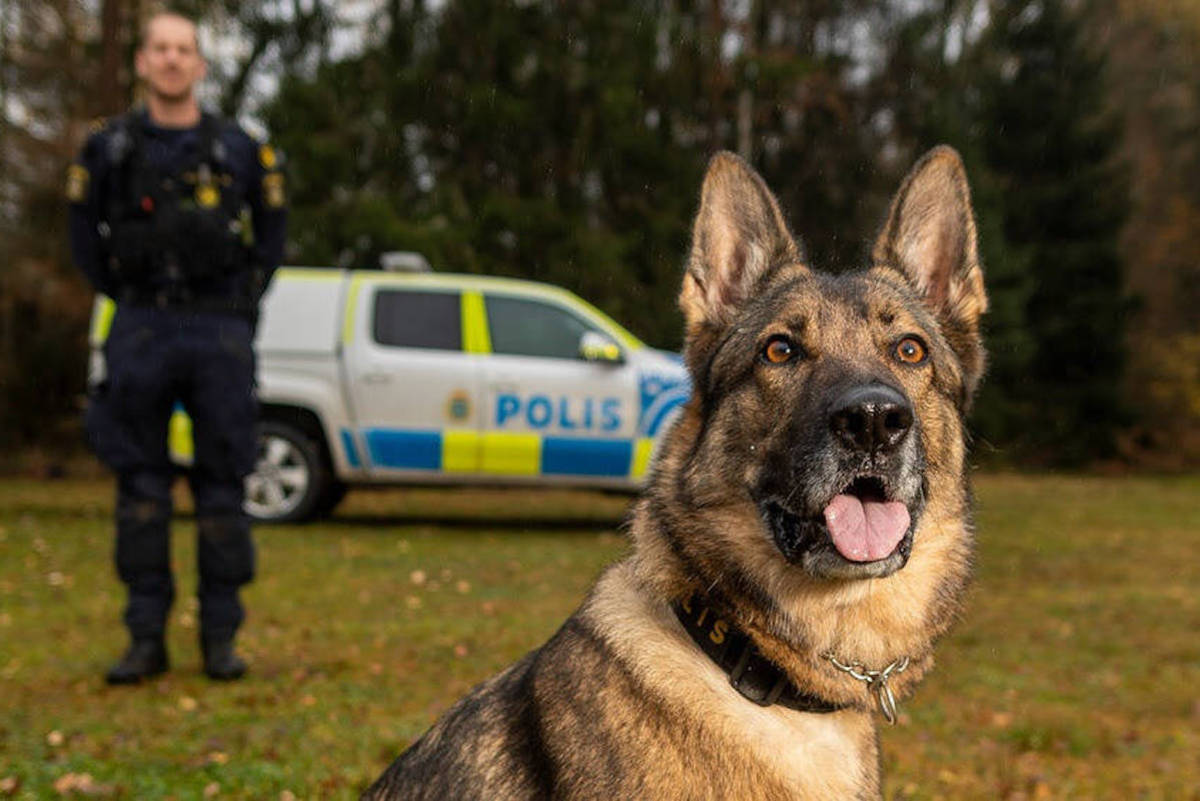 California Police Department Celebrates Its First K9 Officer with ...