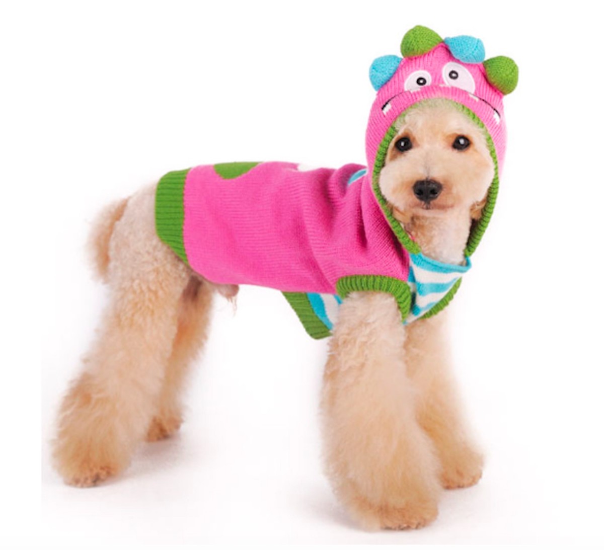 11 Cutest Dog Sweaters to Keep Canines Cozy This Winter PetHelpful News