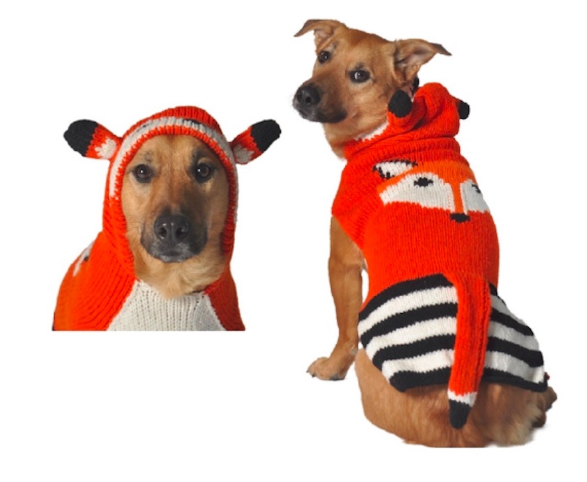 11 Cutest Dog Sweaters to Keep Canines Cozy This Winter PetHelpful News