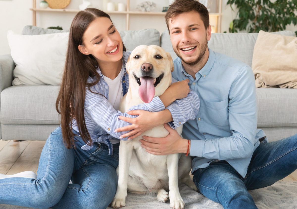 Couple’s Reminder That Dogs Really Are Family Members Goes Viral ...