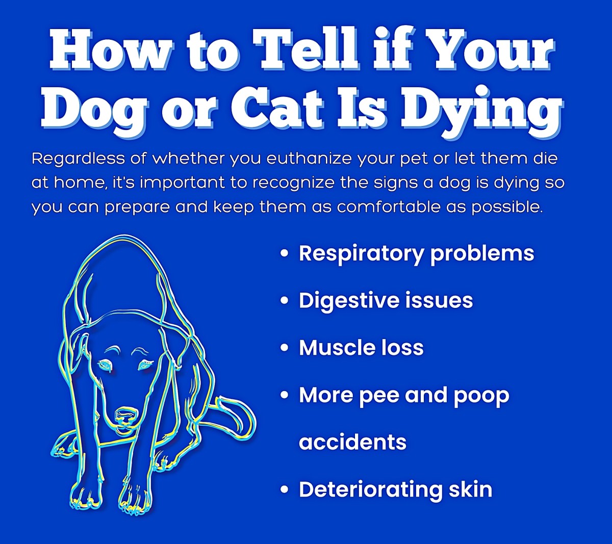 Pet Euthanasia vs. Natural Death - PetHelpful