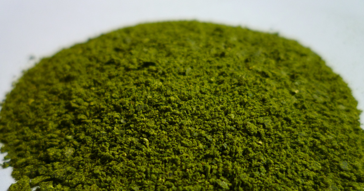 Organic Fish Food Options: Top Natural Choices for Healthy Aquariums