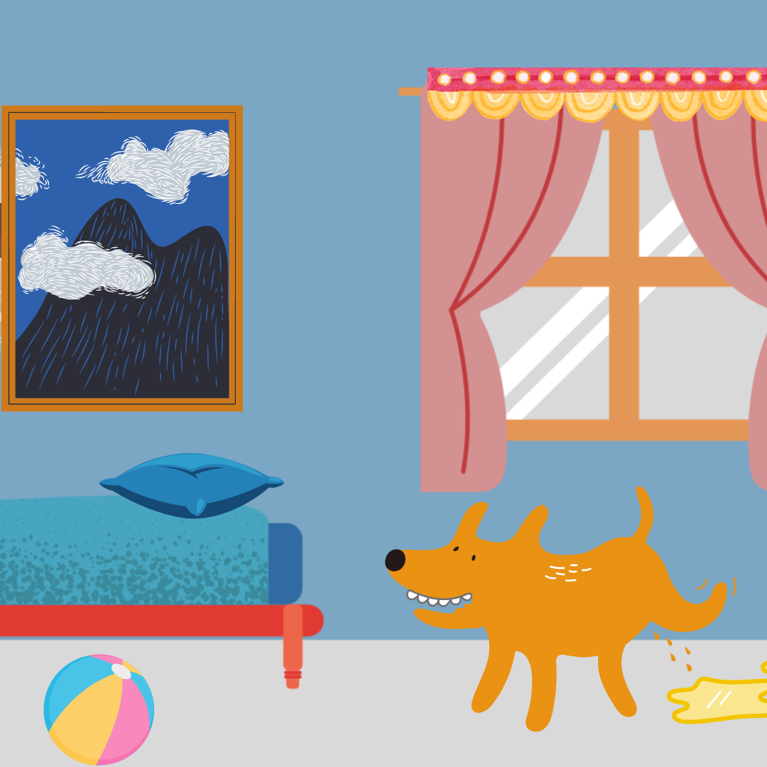 How to Stop My Dog from Peeing on the Bed: Effective Tips