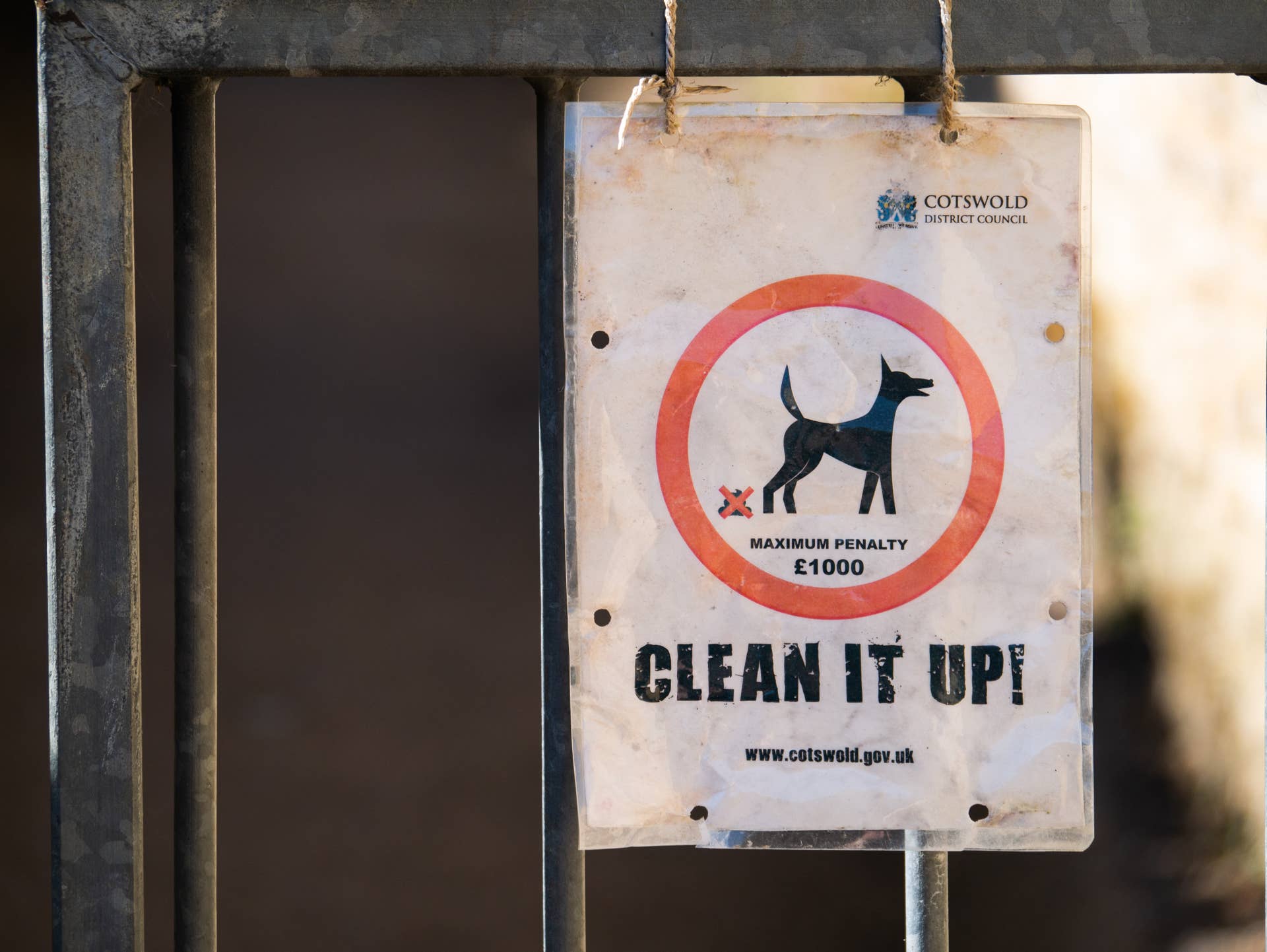 Can I Put Dog Poop in My Compost Bin? Safe Composting Tips
