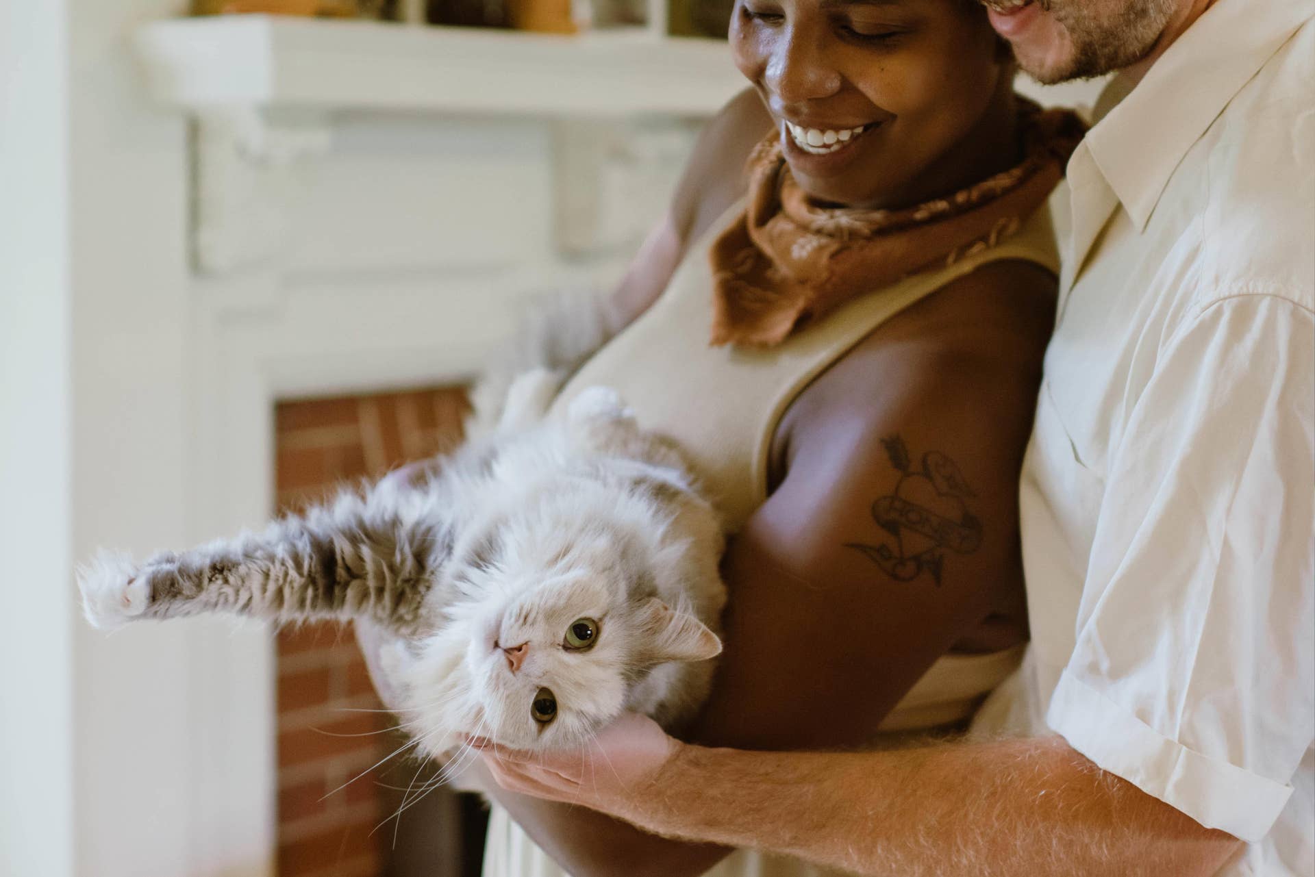 Do Cats Adopt Their Owners Personality? Surprising Truth Revealed
