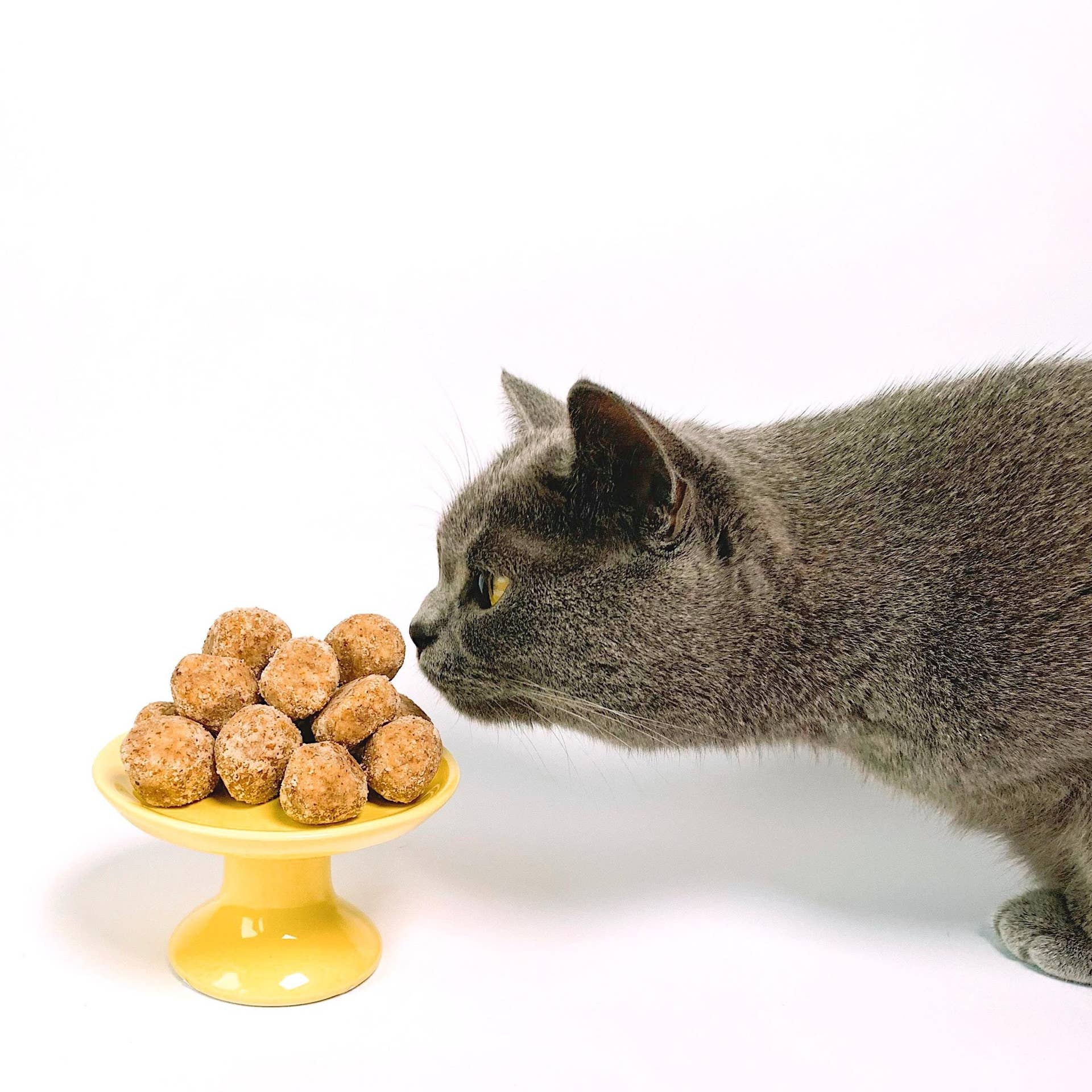 What To Feed A Sick Cat That Won'T Eat? Expert Tips Revealed