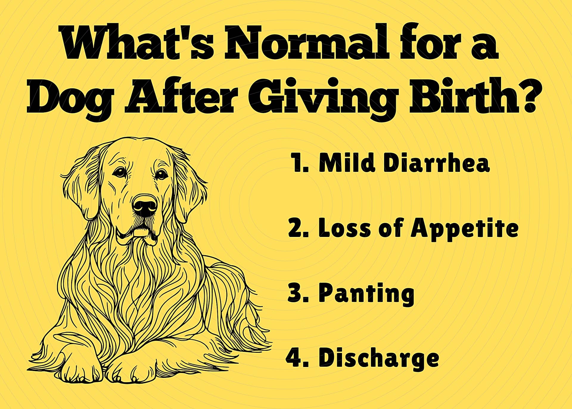 What Are Bad Signs After a Dog Gives Birth? - PetHelpful
