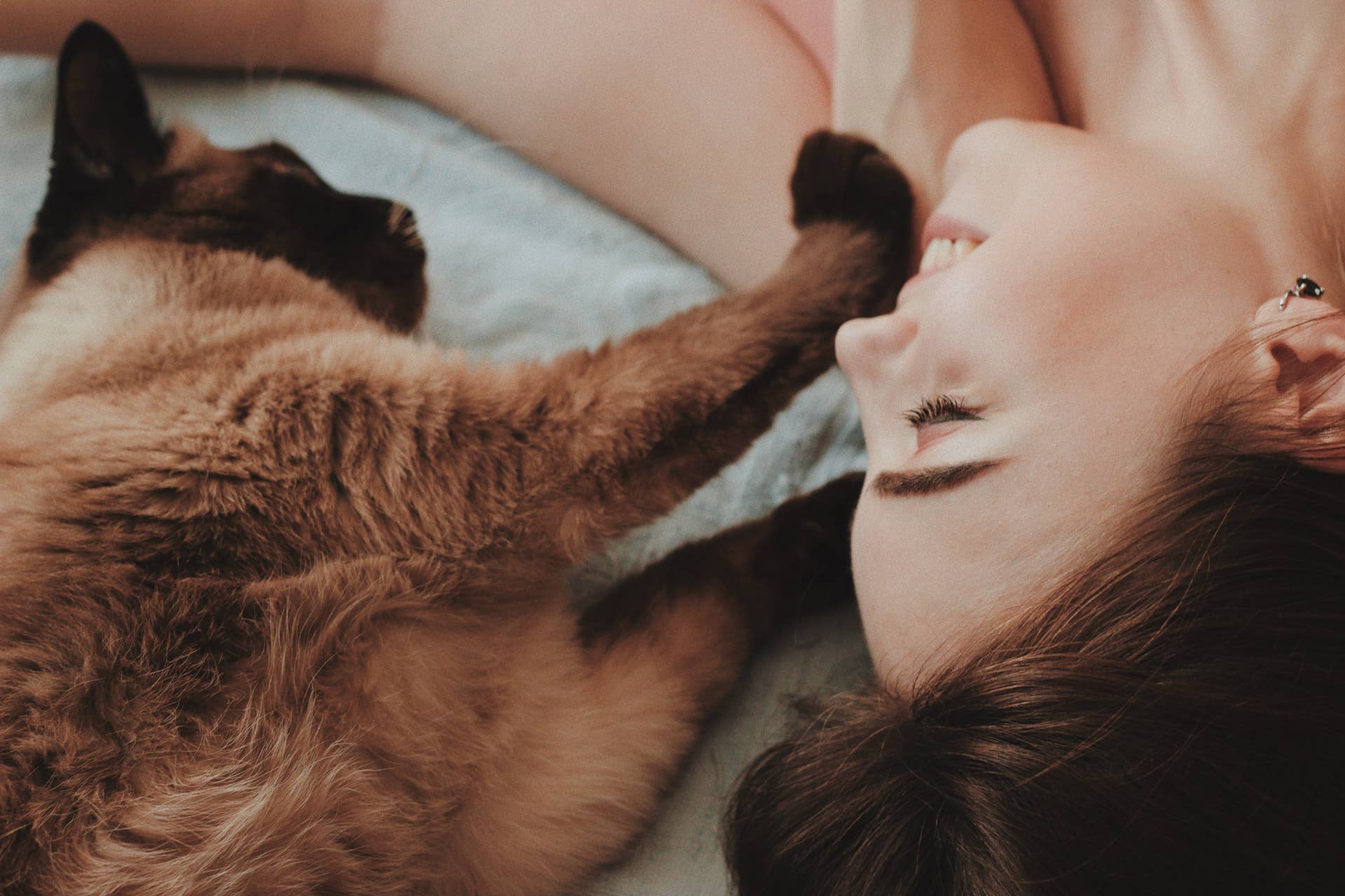 Why Does My Cat Groom on Top of Me: Surprising Reasons Explained