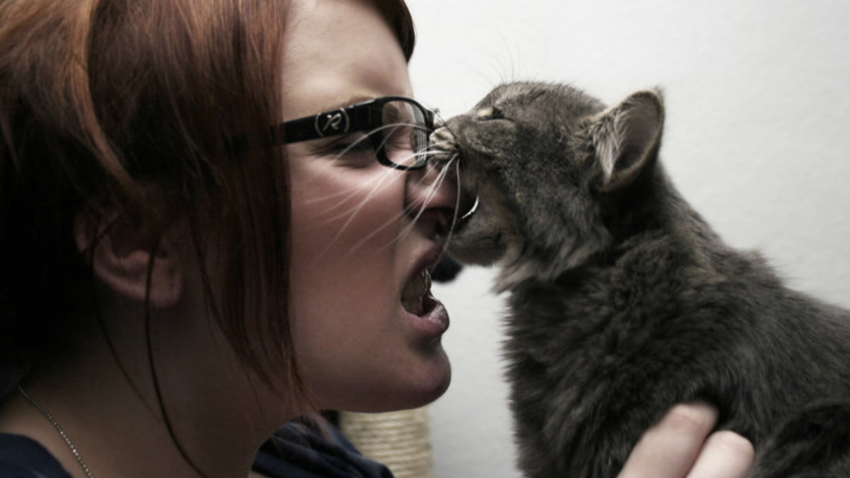 Why Does My Cat Attack Me When I Walk Past: Shocking Reasons Revealed