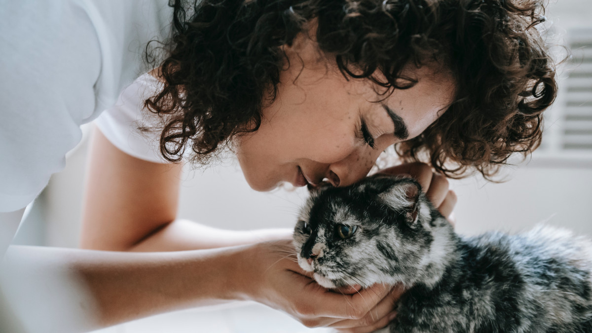 What Do You Call a Female Cat: Essential Terms You Must Know