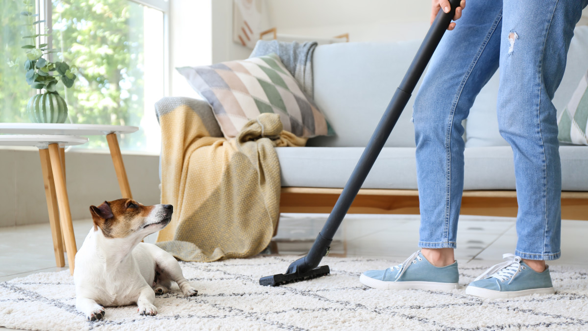 Kohl's High-Tech Vacuum Is Perfect for Pet Parents - PetHelpful