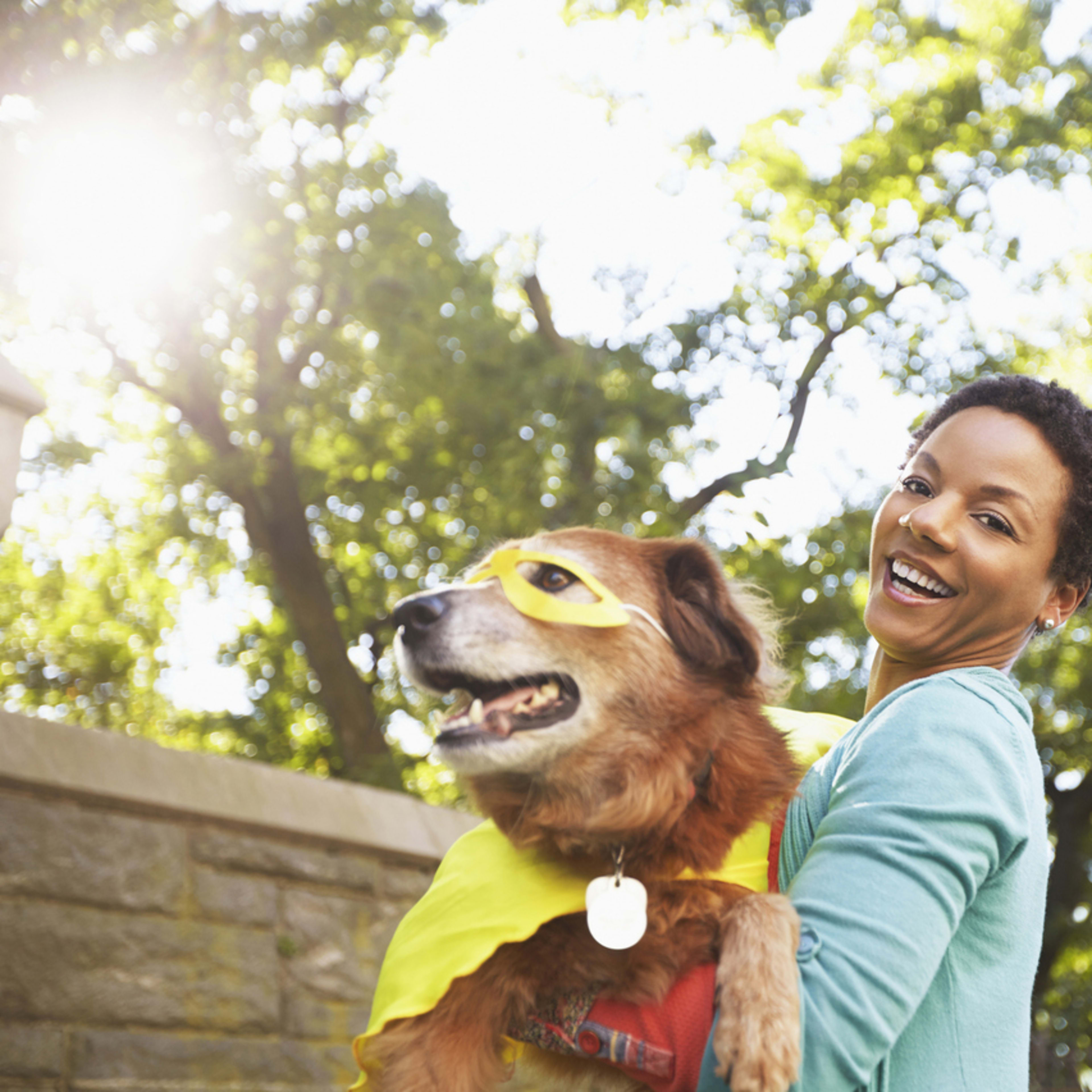 100+ Marvel Names for Dogs and Cats: Superhero and Villain Pet Names