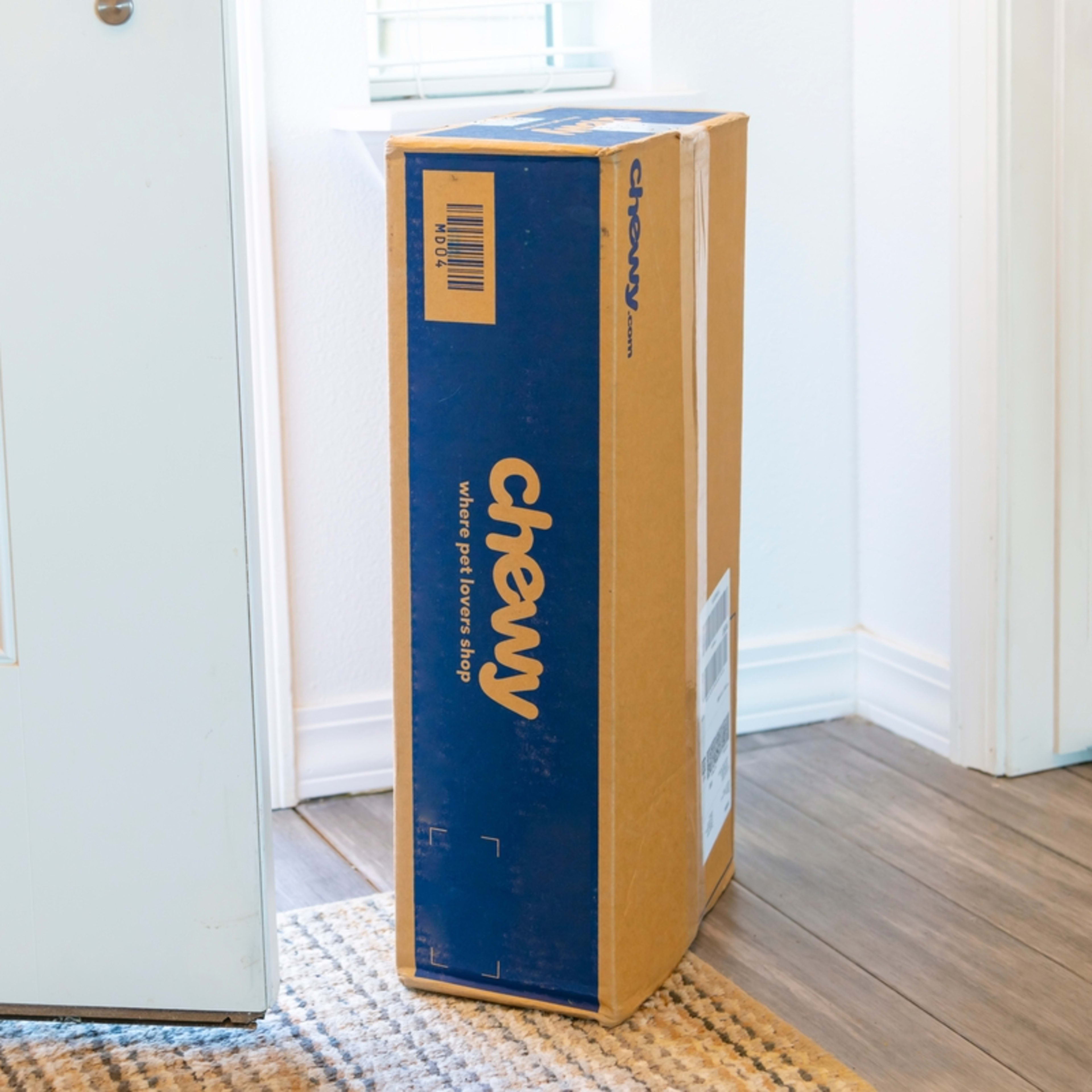 Chewy Is Selling a Giant Dog Bed Big Enough for People and Pups to Snuggle Together