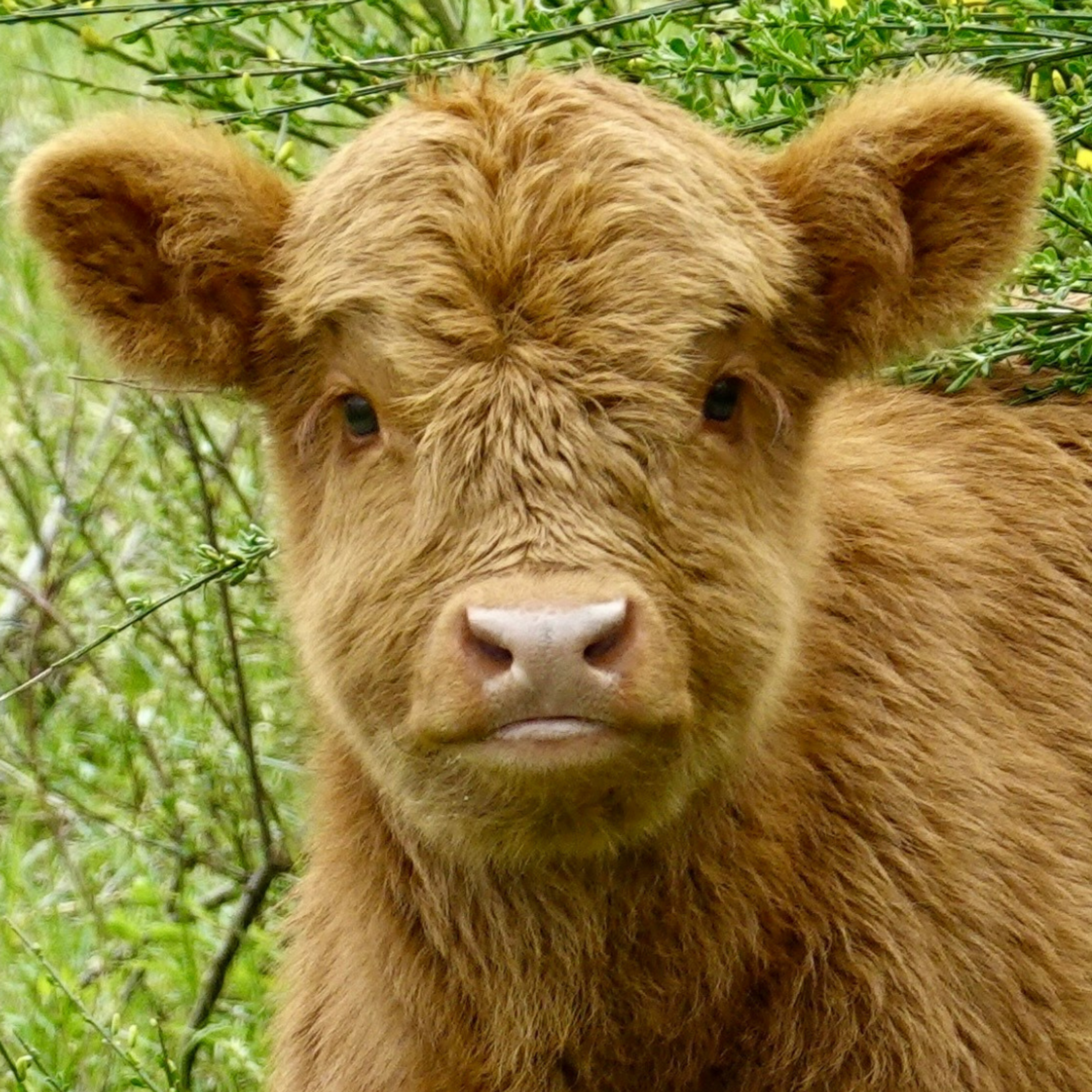 Free Petco Events Every Pet Parent Should Know About PetHelpful free-petco-events-every-pet-parent-should-know-about-pethelpful