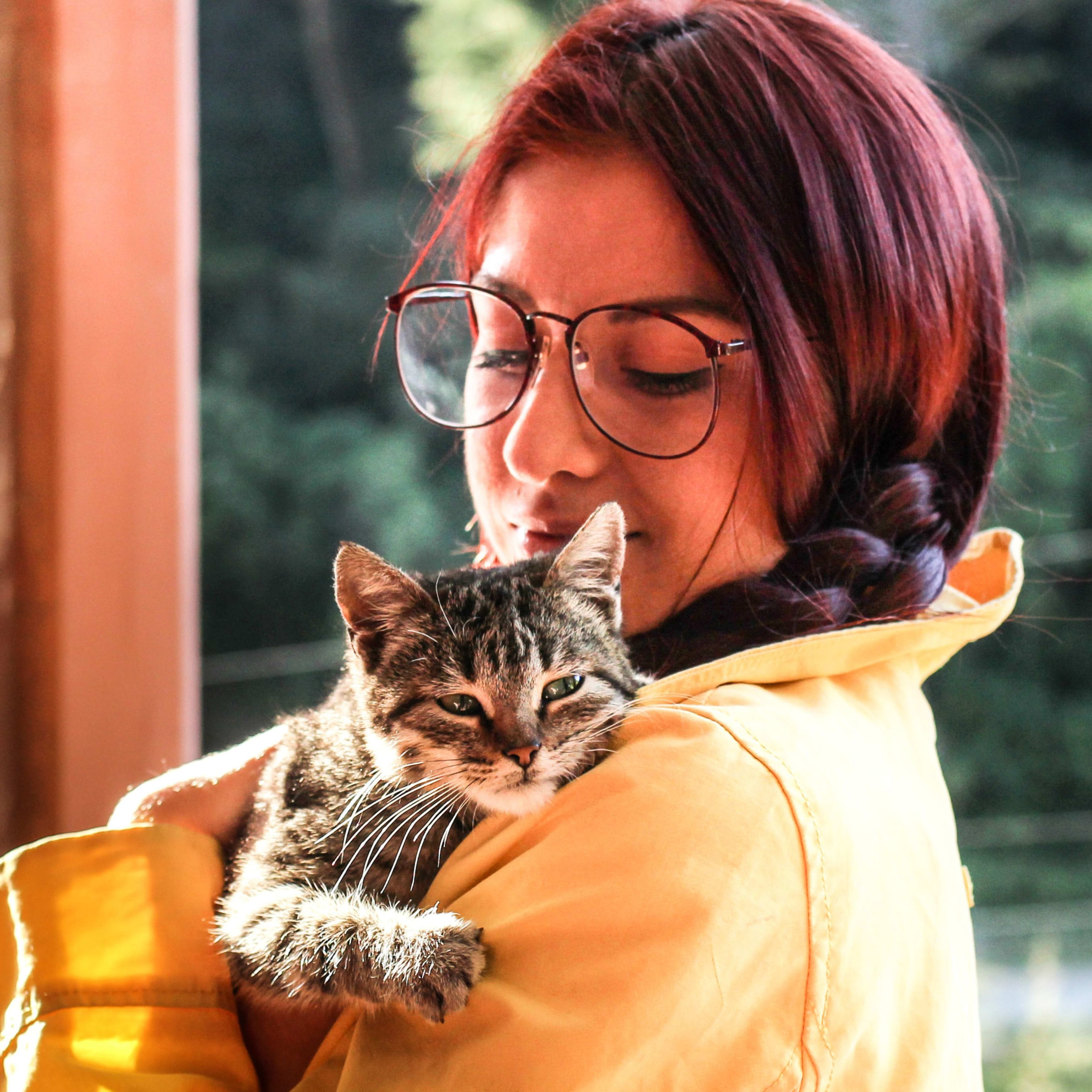 Rare Cat with Two-Toned Colored Face Looks Like a Hollywood Special Effect