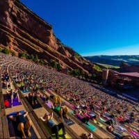 The 7 Best Miniature Dog Breeds: Toys and Teacups - PetHelpful