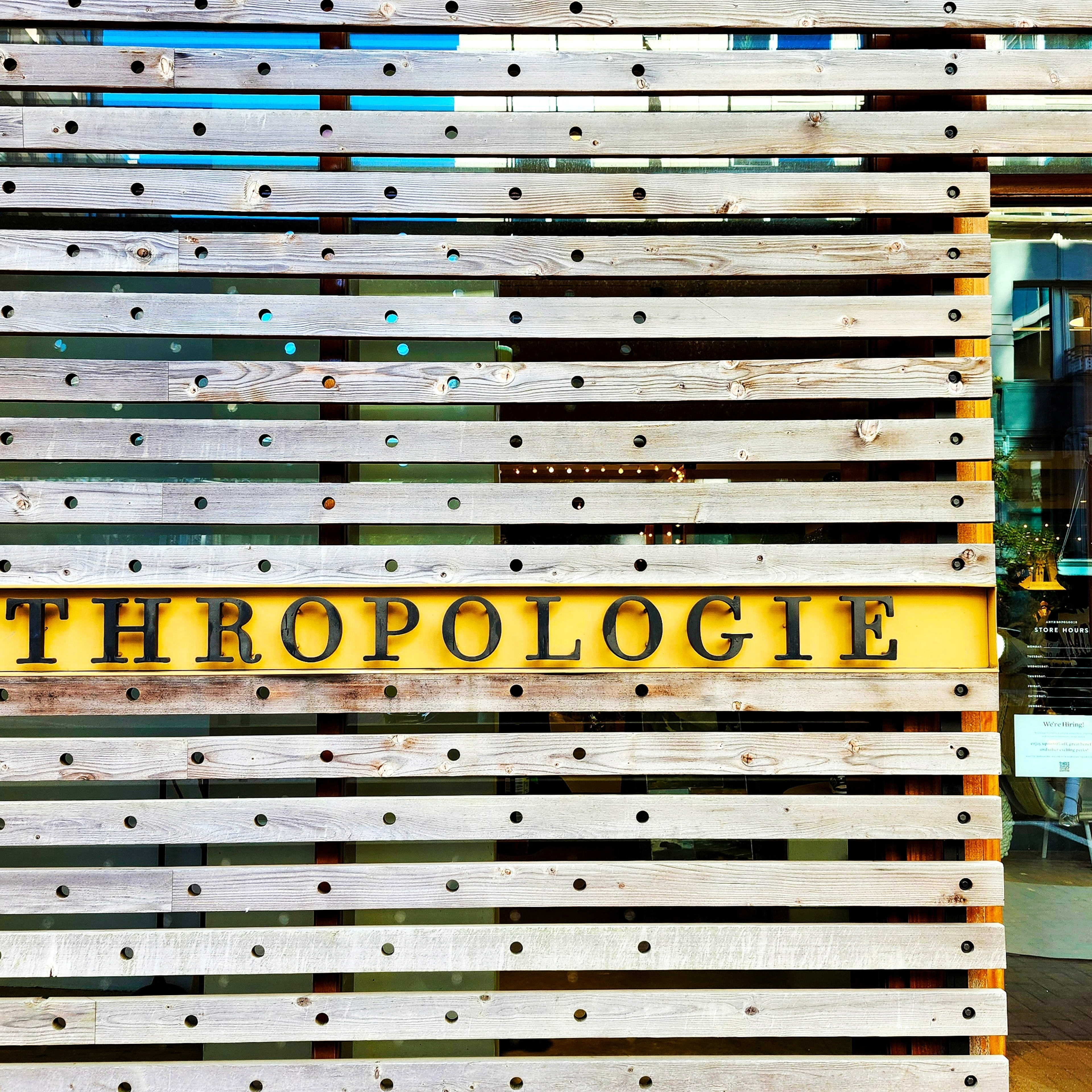 Top 10 Rat Hunting Dog Breeds - PetHelpful