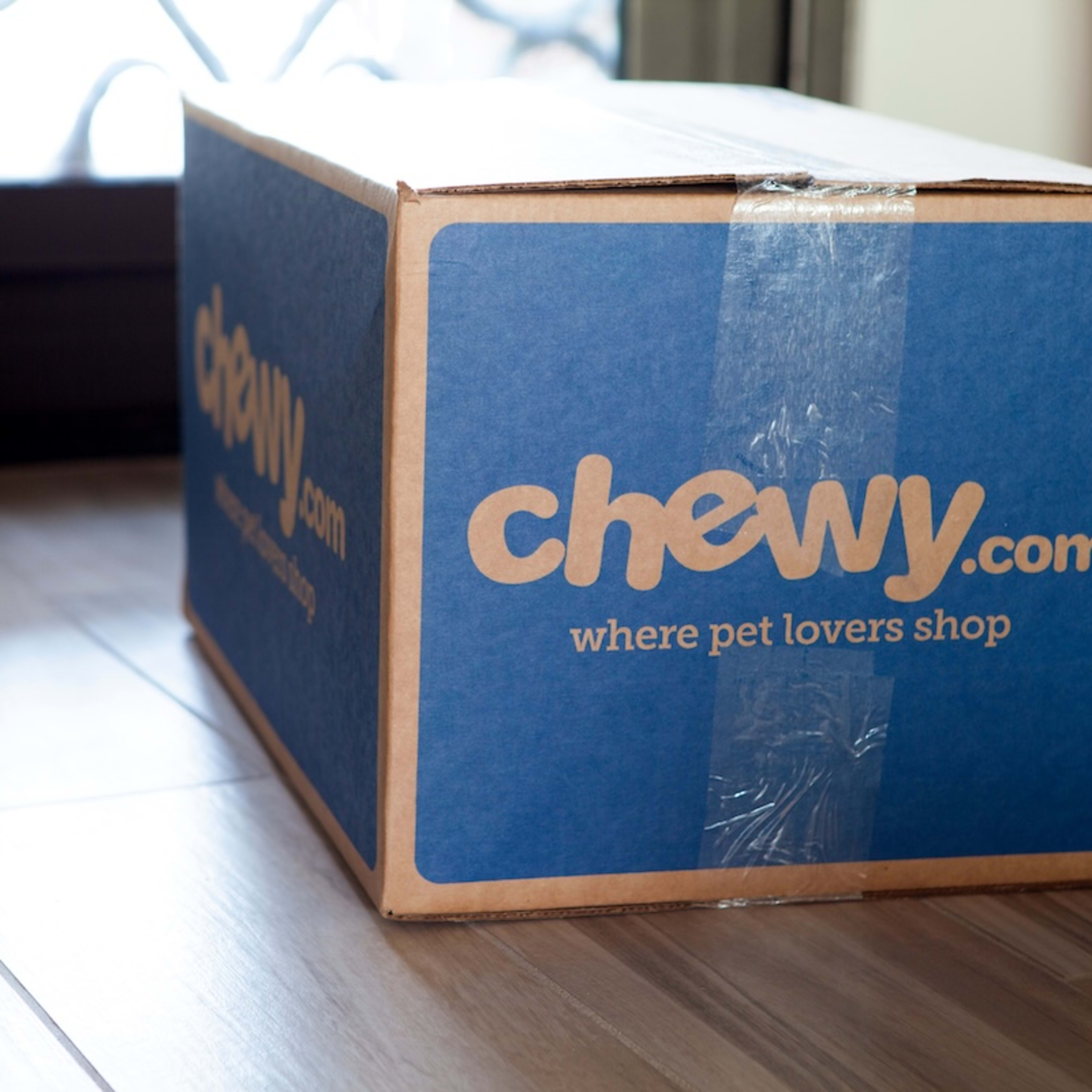Chewy Is Selling an Ocean-Themed Cat Tree for 30% Off and It's a Must-Have for Cool Kitties
