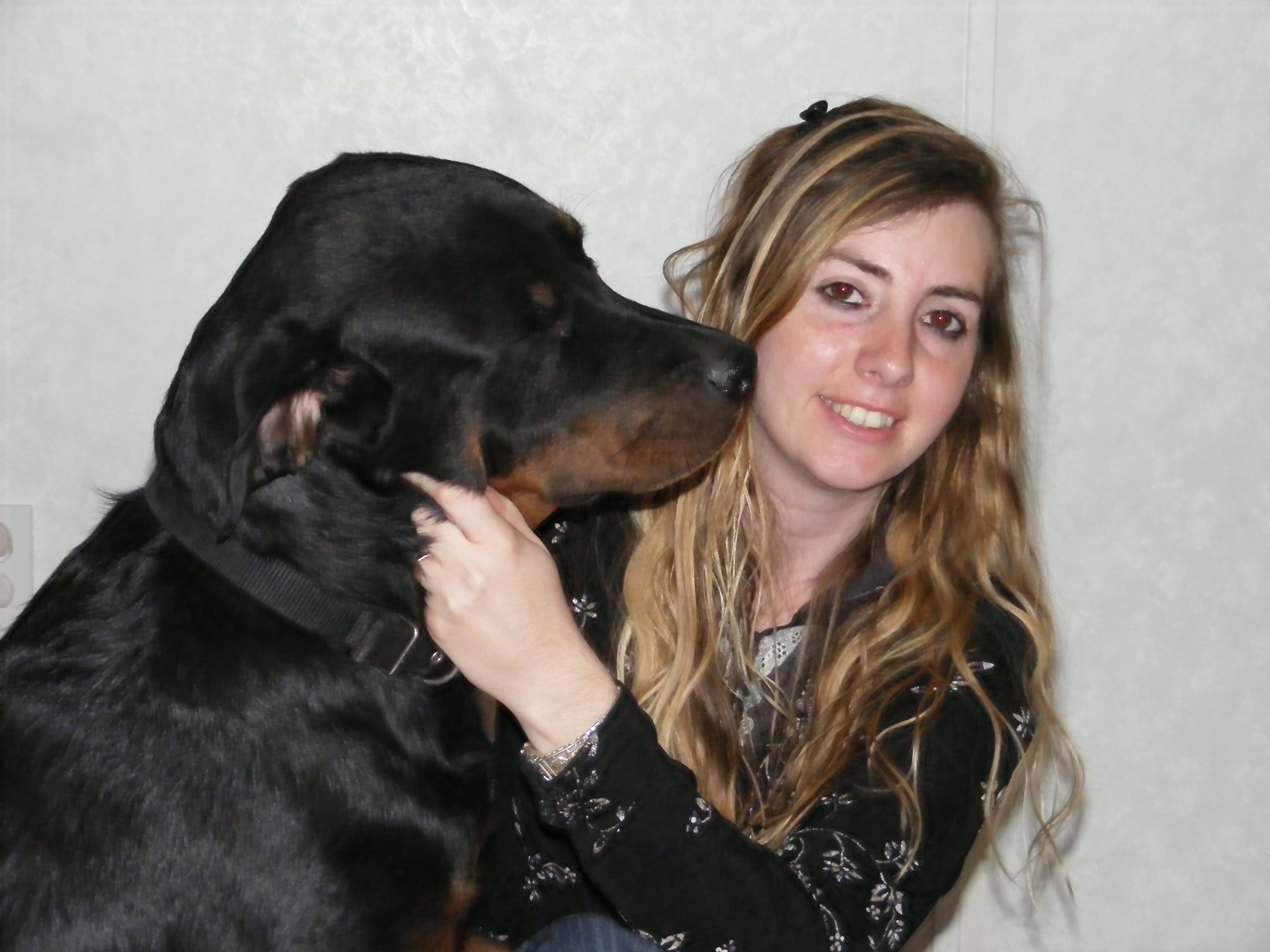 Why Does My My Dog Growls At Me At Night Buy Puppy Barks And Growls At