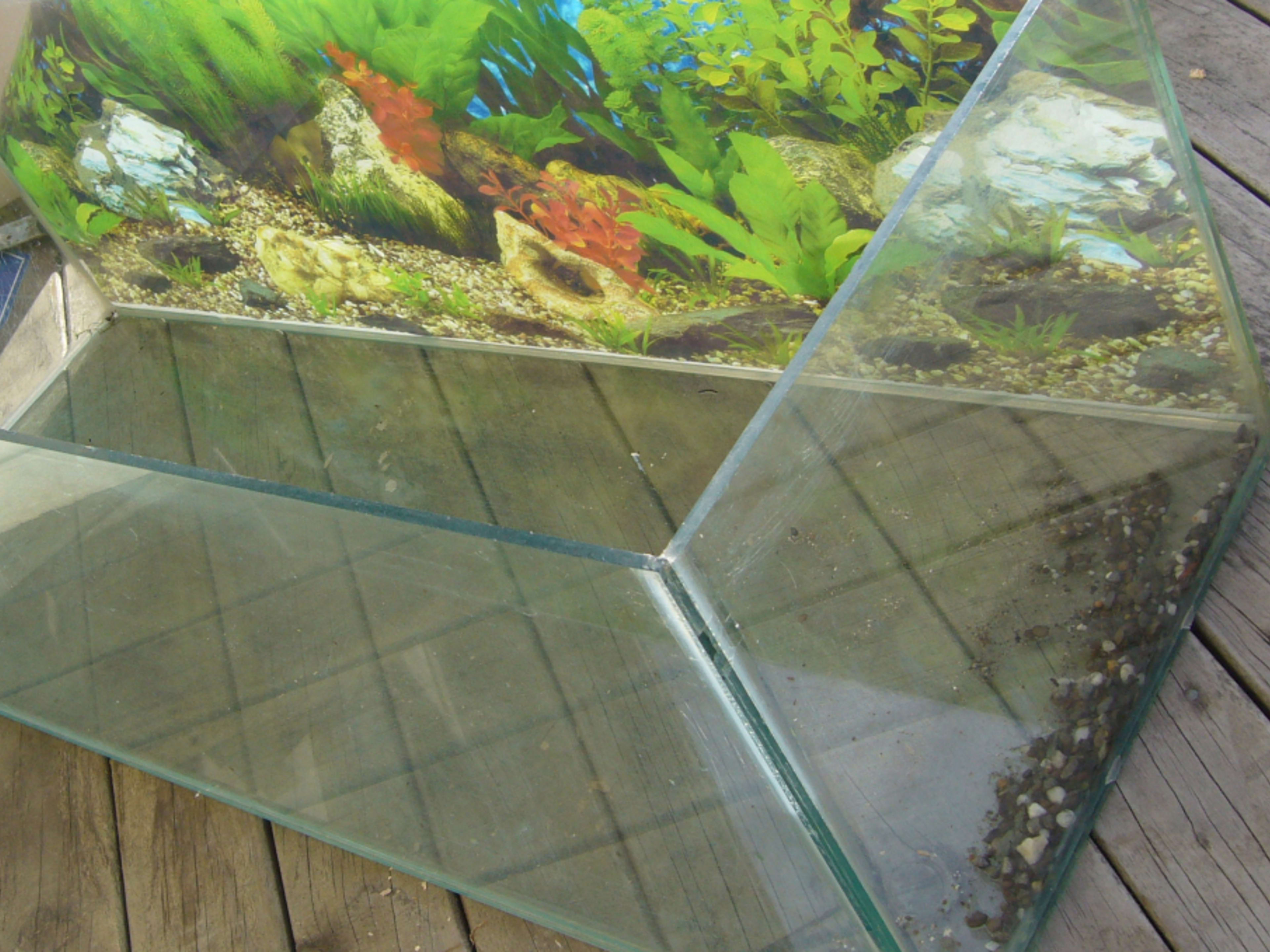 How To Clean A Used Fish Tank
