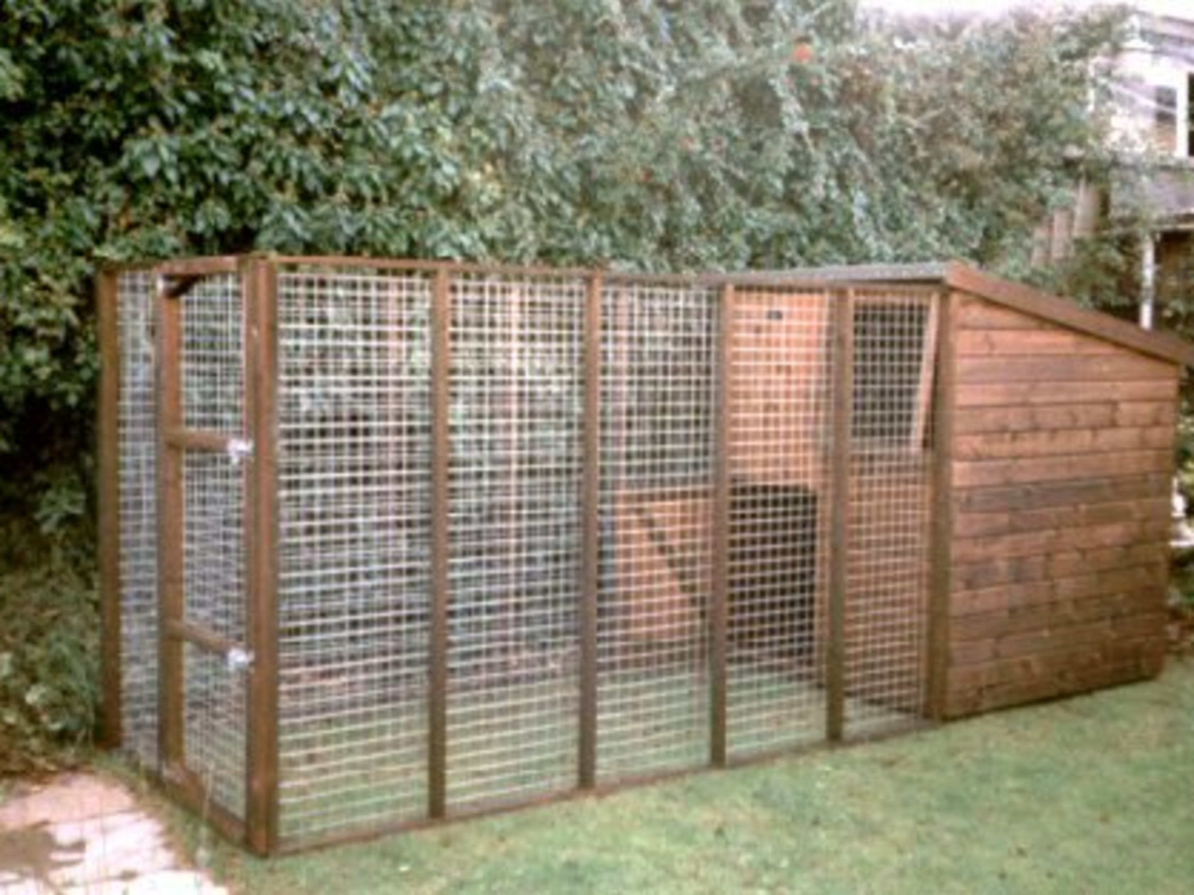 outdoor dog kennel sizes