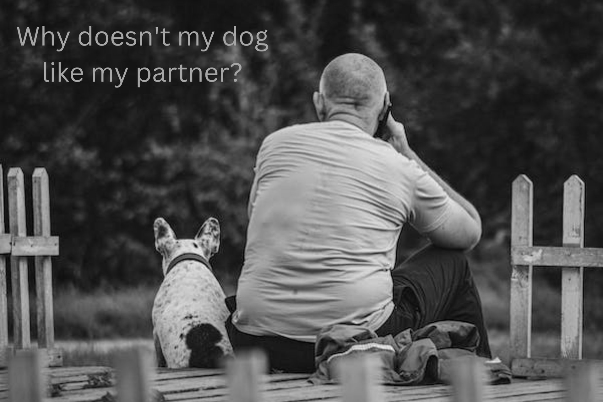 What to Do If Your Dog Doesn't Like Your Boyfriend