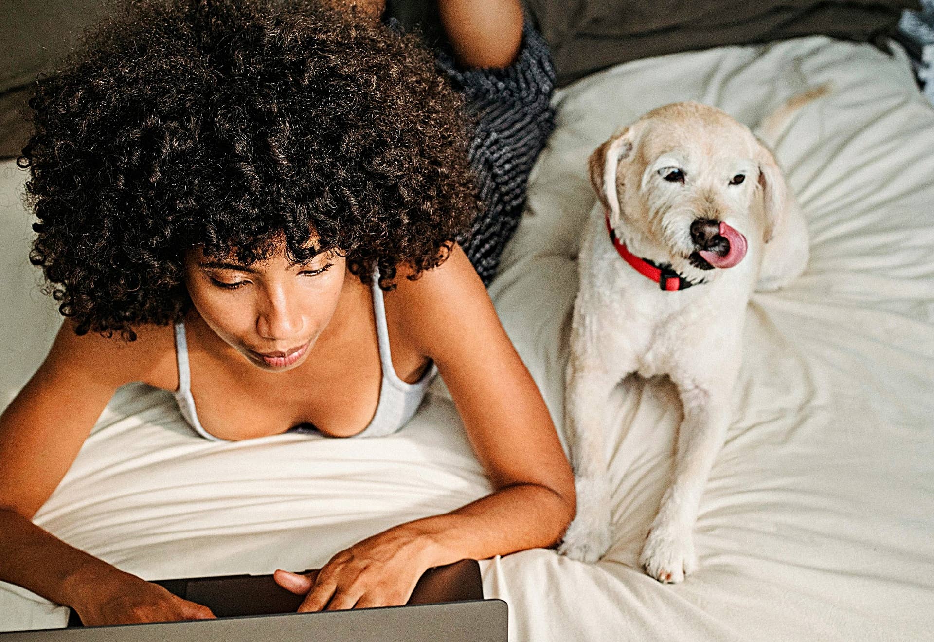 Why Is My Dog Constantly Licking His Front Legs? - PetHelpful