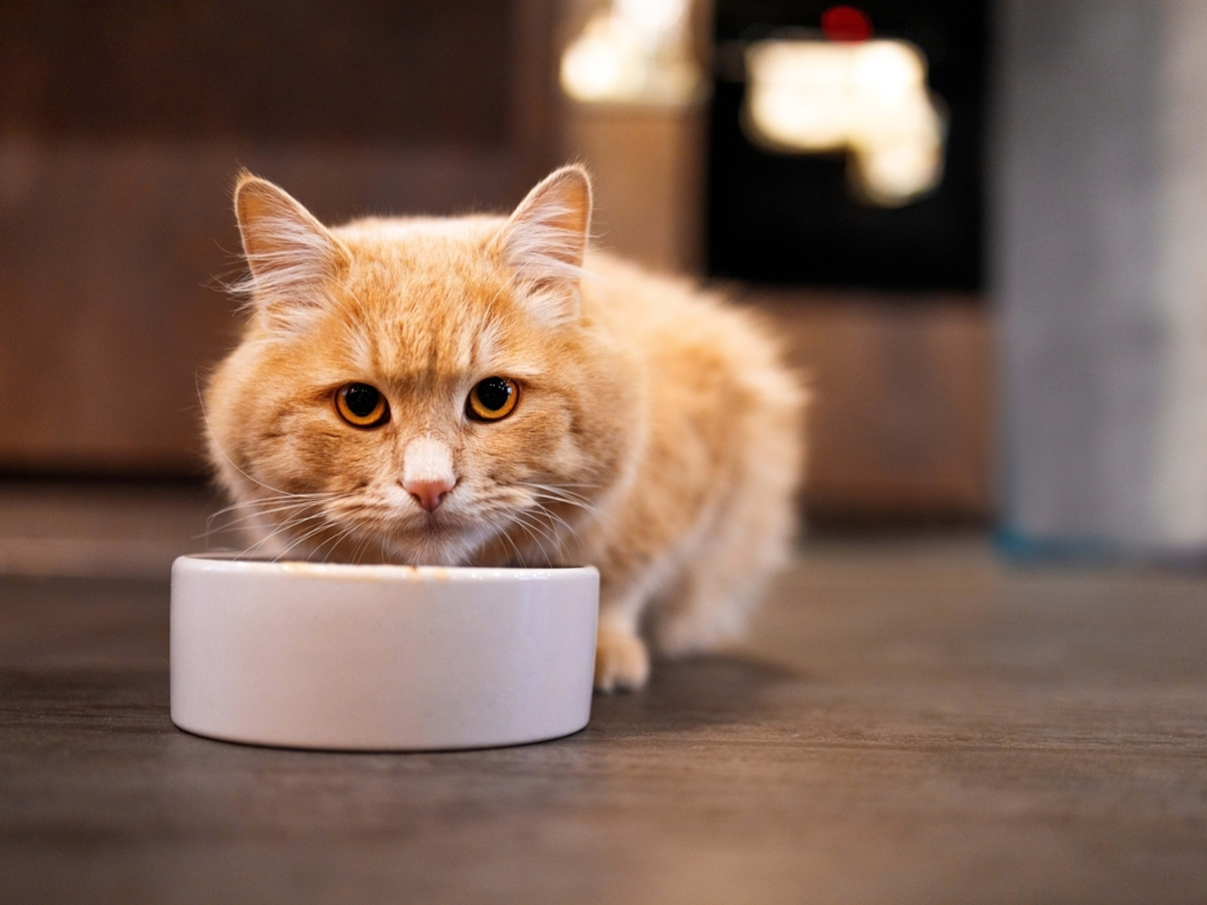 Allulose Powder supplier Allulose Powder supplier