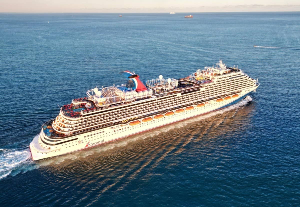 3 Dogs Miraculously Rescued by Carnival Cruise Ship After Boat Was ...