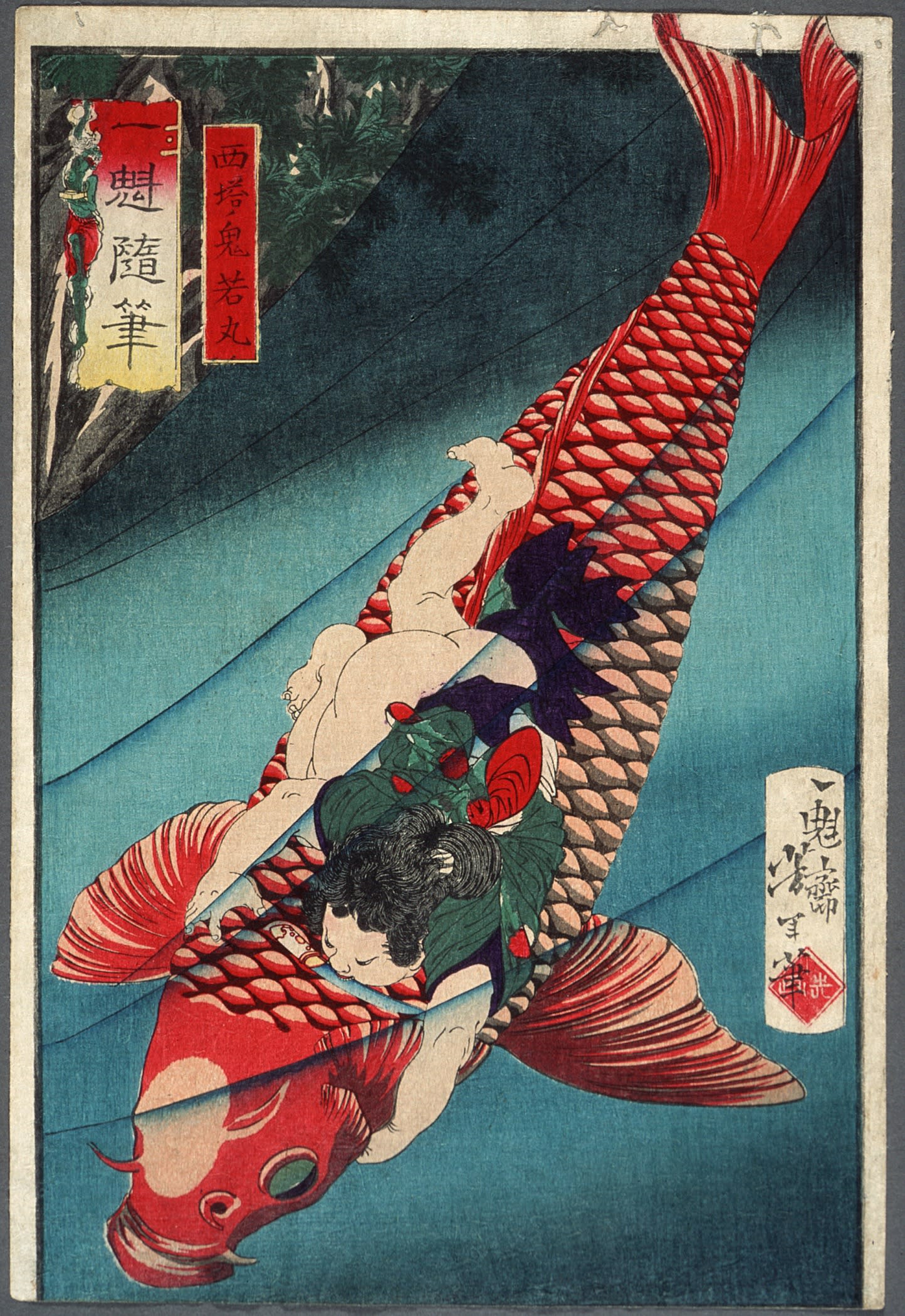 Koi Carp: The Most Expensive Koi Fish Ever Sold