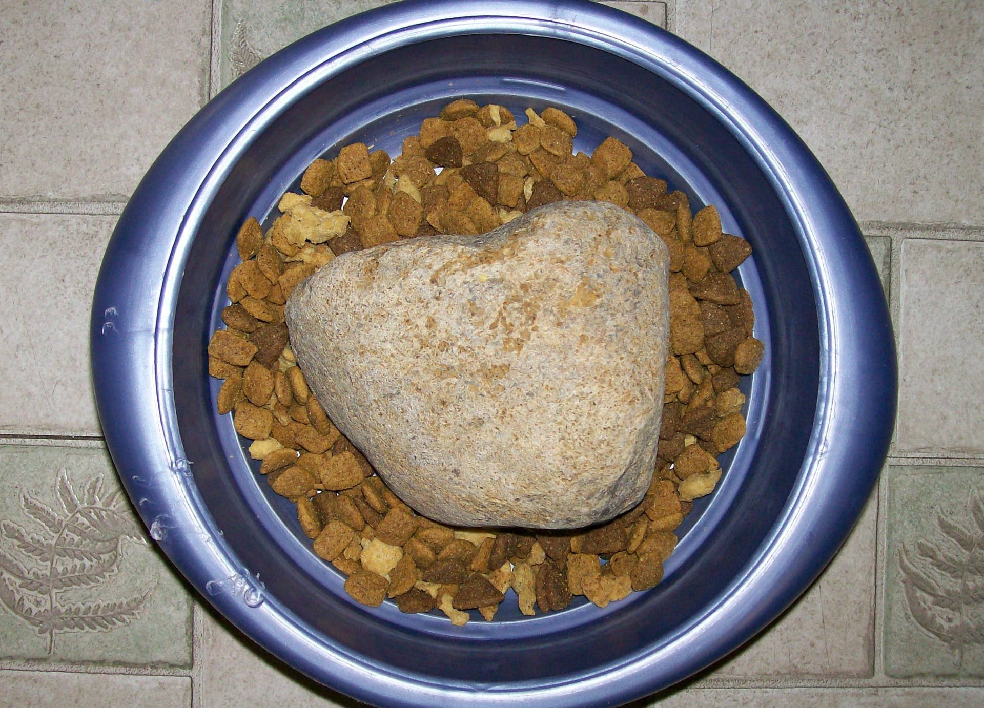 Image showcasing How to Stop a Dog From Eating Too Fast: Tips to Prevent Bloat
